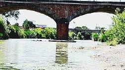 Due scorci del fiume Cecina all’altezza del ponte sull’Aurelia Poca acqua torbida e tante alghe Ecco come si presenta oggi
