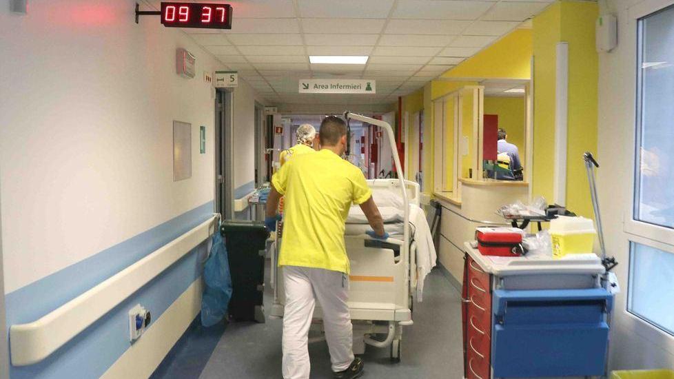West Nile, due casi sospetti: il virus circola ancora