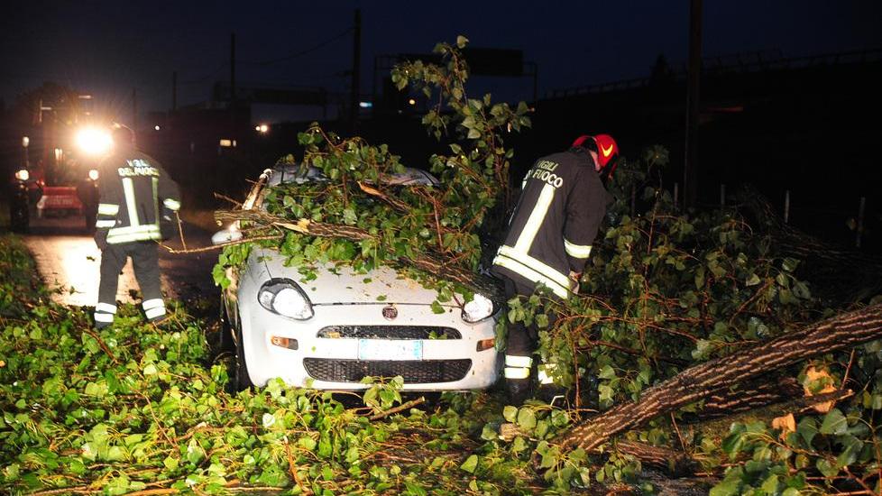 Nubifragio su Modena: albero cade su auto, una donna esce illesa