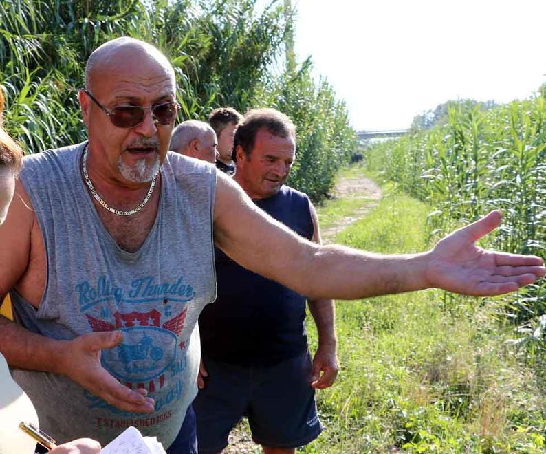 Tante piante ad alto fusto per ridurre la puzza