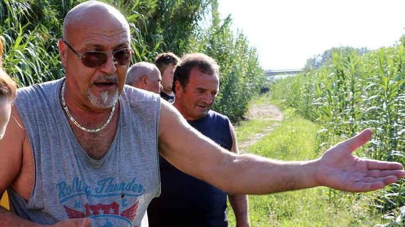Tante piante ad alto fusto per ridurre la puzza