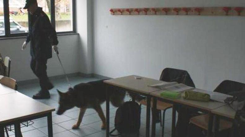 Cani antidroga per controllare le scuole e interventi di manutenzione nelle aule