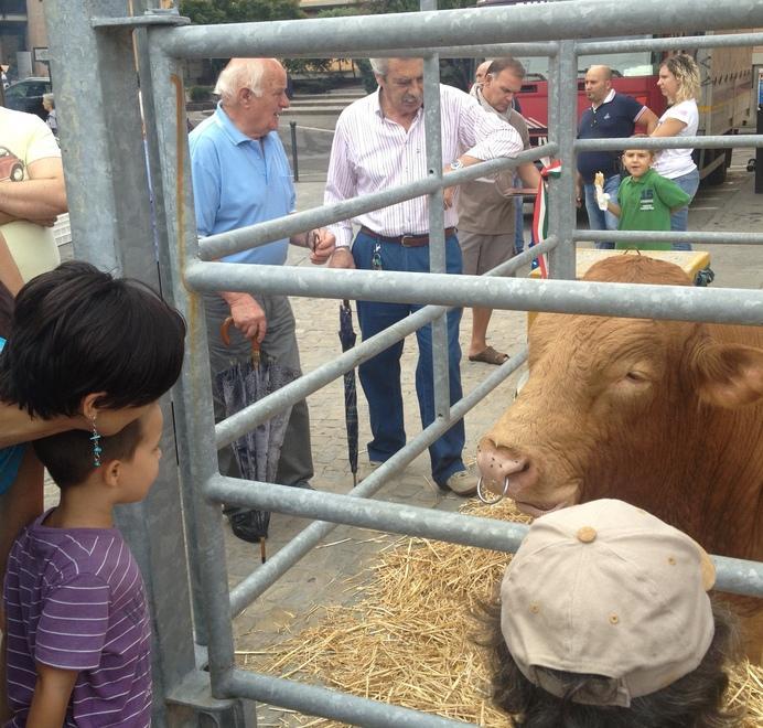 Alla Fiera dei Tori quest’anno si apre Piazza Infanzia 
