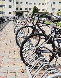 Biciclette nelle rastrelliere all’interno dell’università