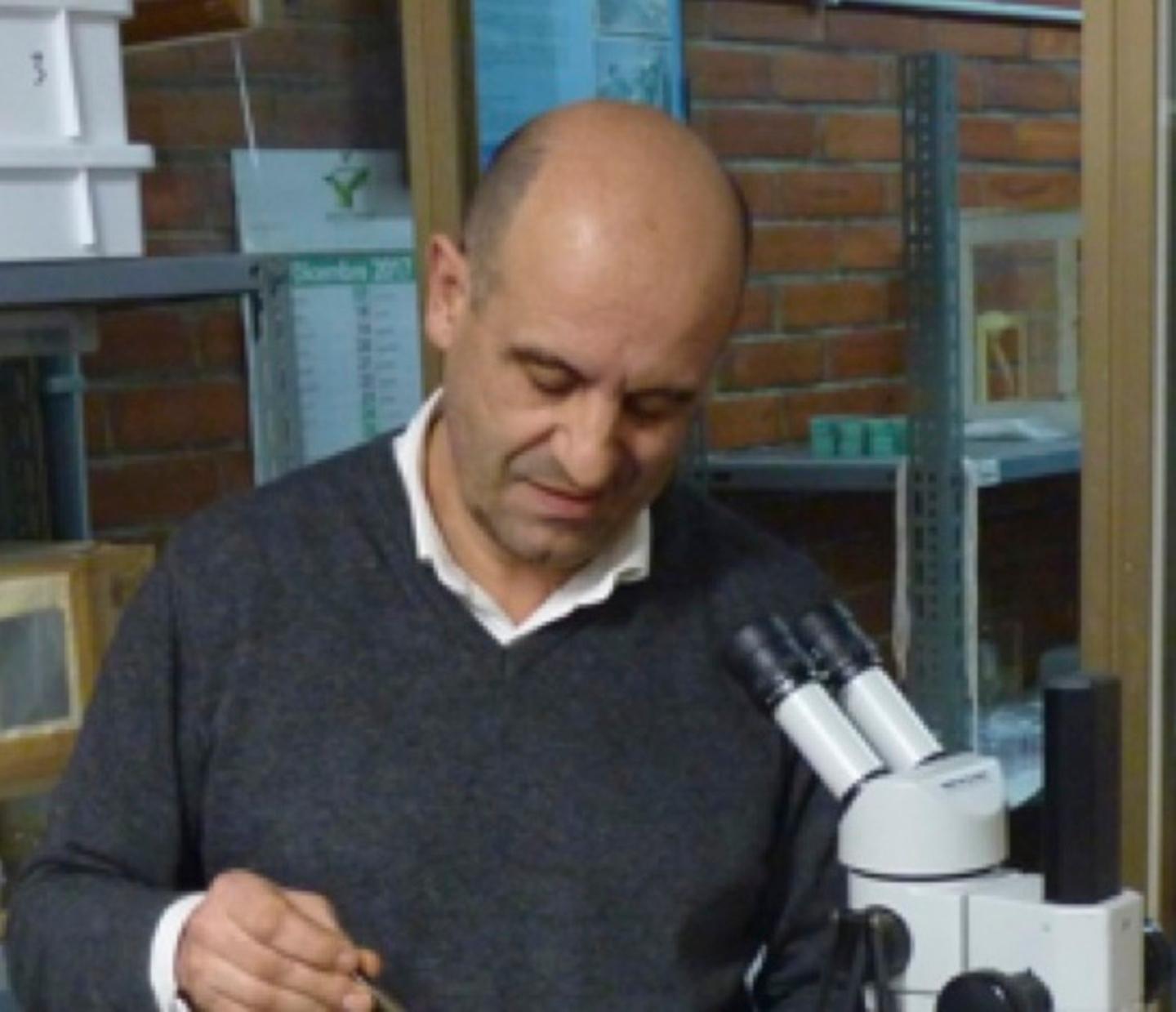 Dall’argia al ragno violino: quando la natura fa paura 