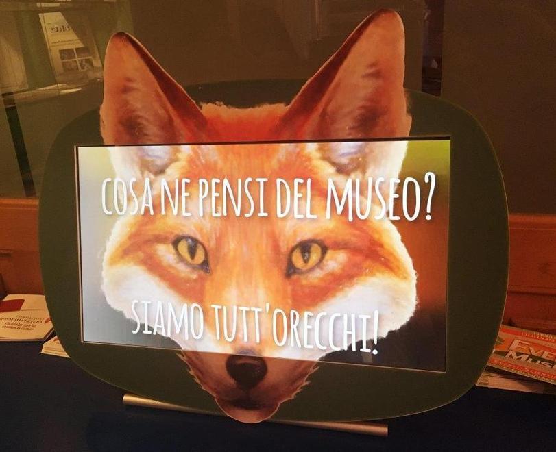 Interattive le opinioni dei visitatori al Museo di storia naturale