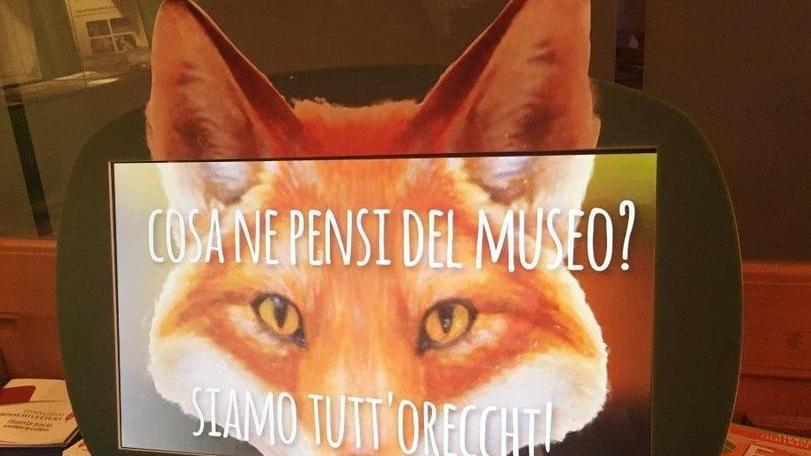 Interattive le opinioni dei visitatori al Museo di storia naturale