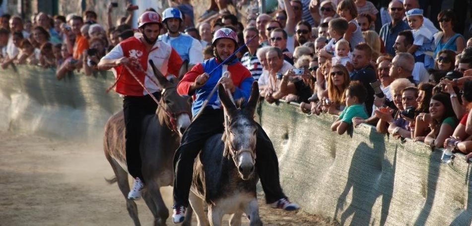 Le somare più veloci del centro Italia 