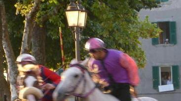 Abbattuto il cavallo ferito, oggi si corre il Palio