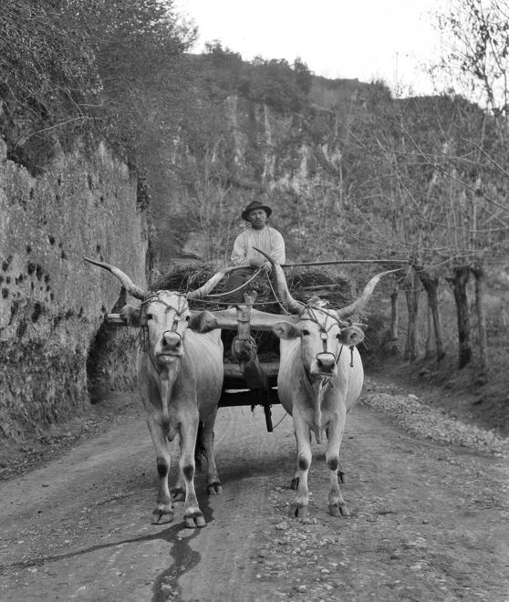 La cultura rurale toscana nelle foto di sei maestri