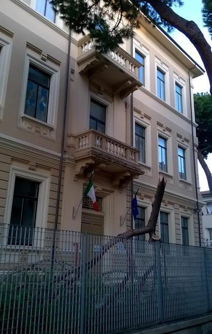 Crolla un ramo nella scuola