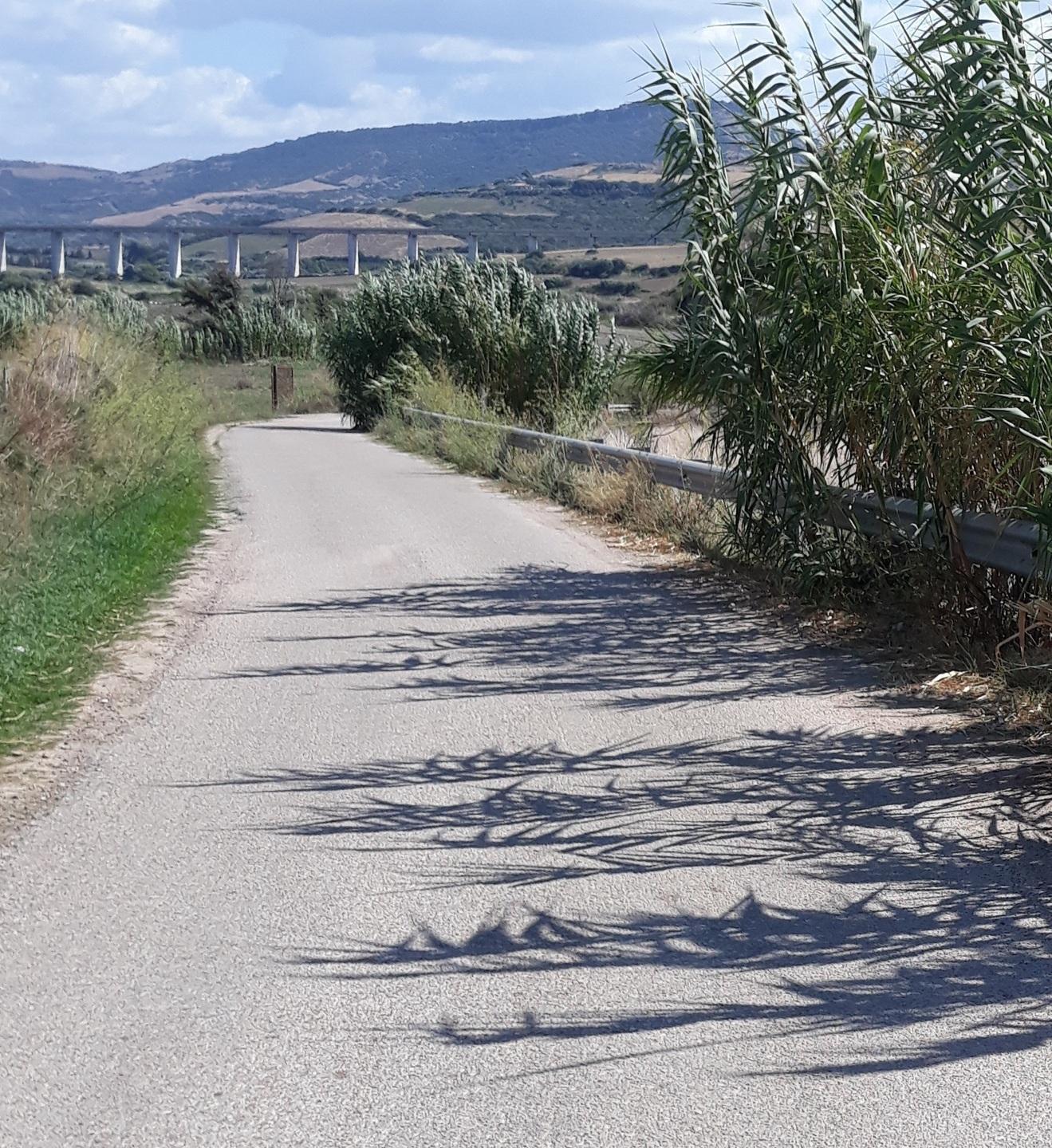 «Buche e poca manutenzione, quella strada è pericolosa» 