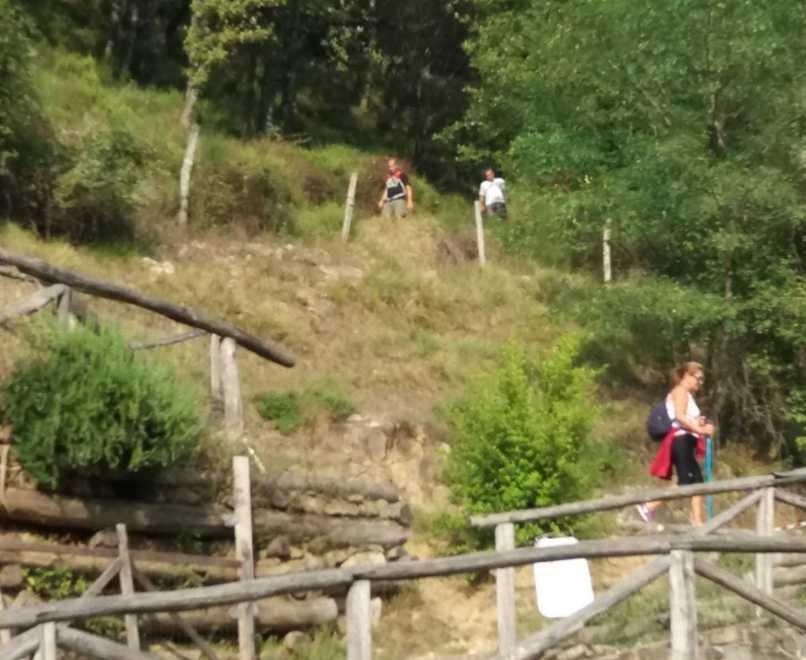 In corsa fra cinque borghi: 251 partecipanti (più i cani) 