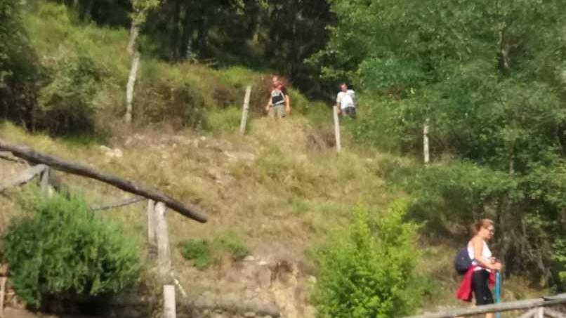 In corsa fra cinque borghi: 251 partecipanti (più i cani)