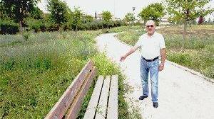 L’erba alta lungo il vialetto del giardino