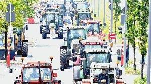 I piccoli produttori minacciano manifestazioni di protesta