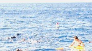Un momento del giro a nuoto a Montecristo