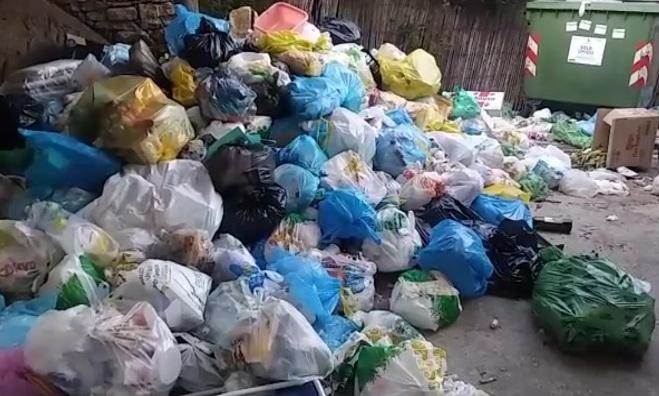 Umido non raccolto da dieci giorni 