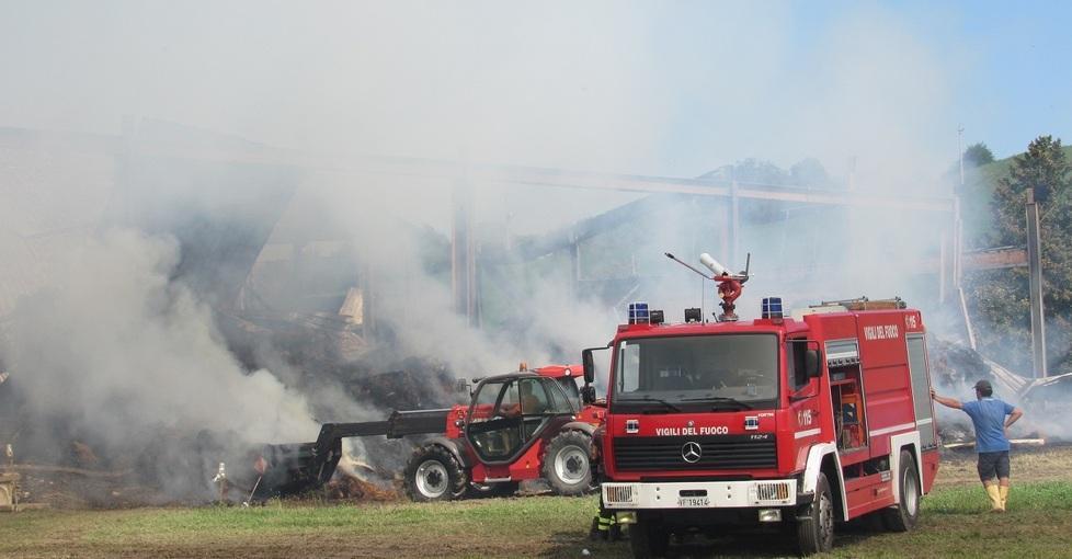 Azienda Bedini, rogo infinito Le mucche nella stalla salvata