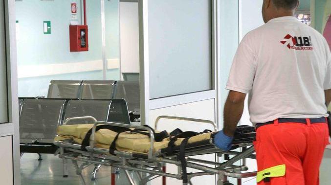 West Nile, settima vittima a Ferrara Ricoverato da 10 giorni, aveva 78 anni