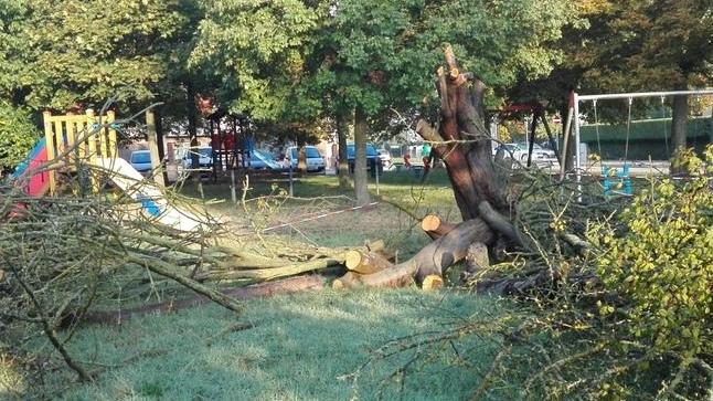 Abbattuti alberi Parchetto chiuso