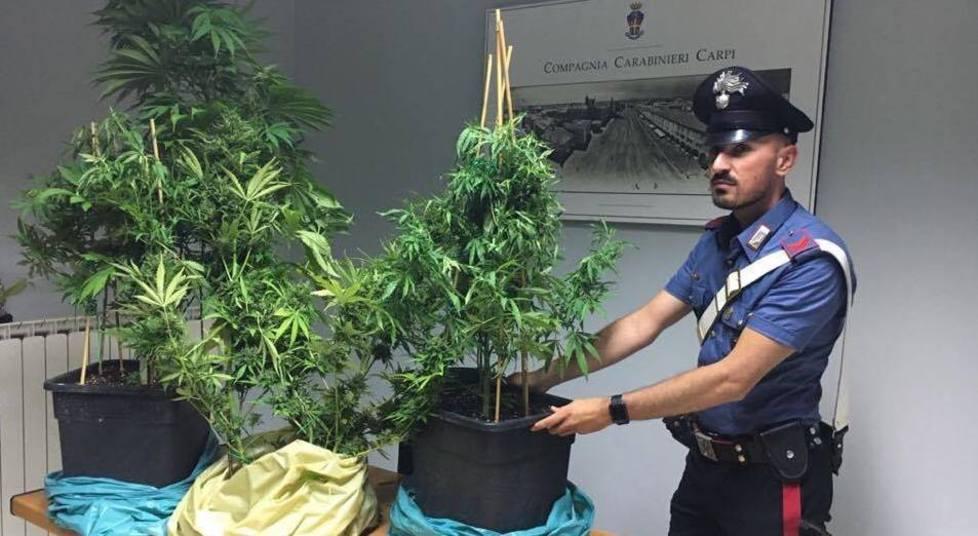 Lite fra padre e figlio Ma spunta la marijuana Denunciati entrambi