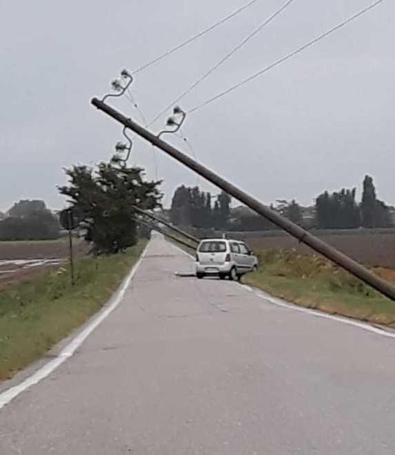 Albero distrugge l’auto «E nessuno intende risarcire questo danno» 