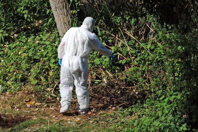 Cadavere ritrovato a San Donnino: "E' un omicidio" 