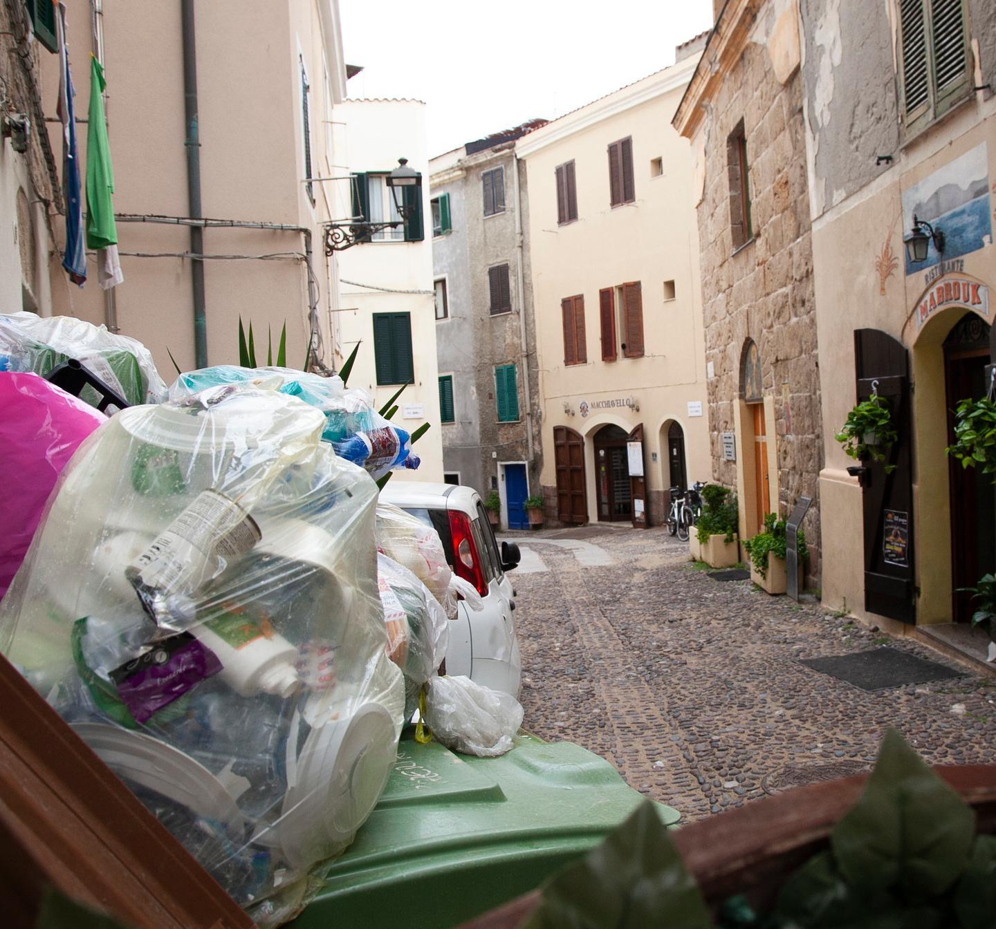 Topi e blatte invadono la città cittadini e negozianti infuriati