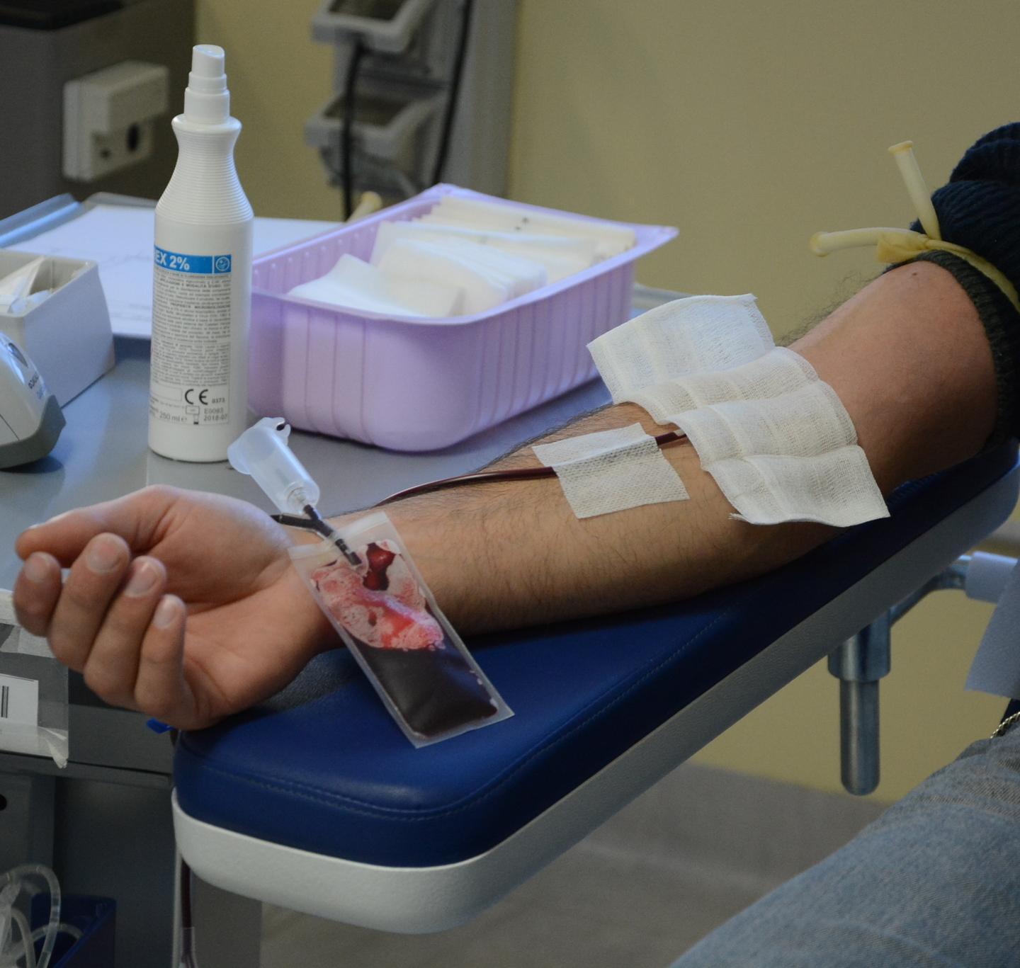 Raccolta di sangue durante la festa, appello dell’Avis