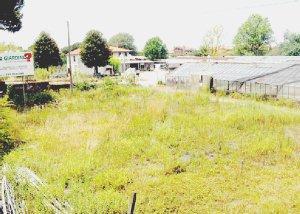 Due immagini dell’area ex Sensi Garden al centro di una contesa che è diventata da semplicemente economica a politica