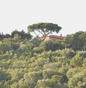 La villa di Montepergoli immersa nella vegetazione