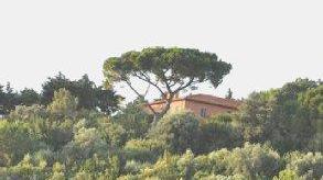 La villa di Montepergoli immersa nella vegetazione