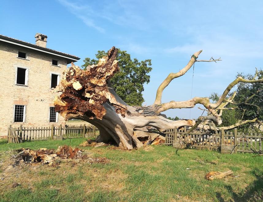 «Un simbolo, nostro compito portarlo avanti»