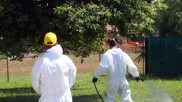 Lotta alla West Nile, triplicati i trattamenti per la disinfestazione