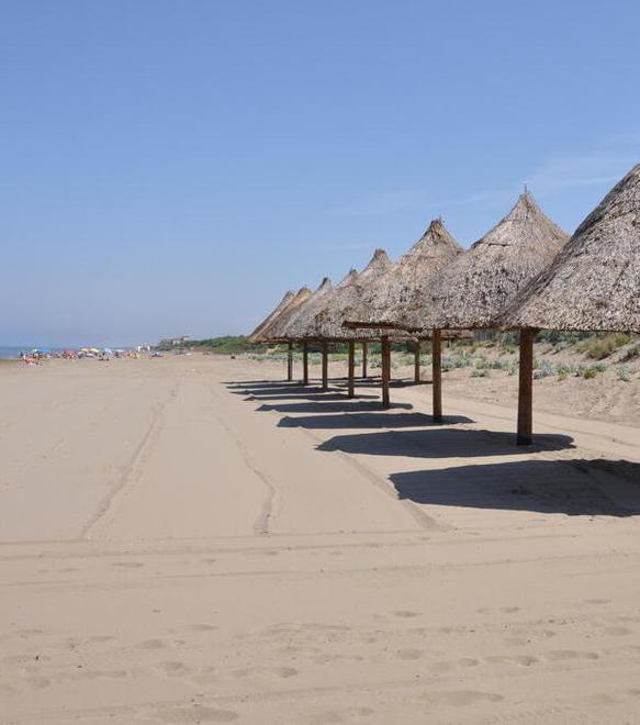 Passeggiata sulla costa alla ricerca di rifiuti