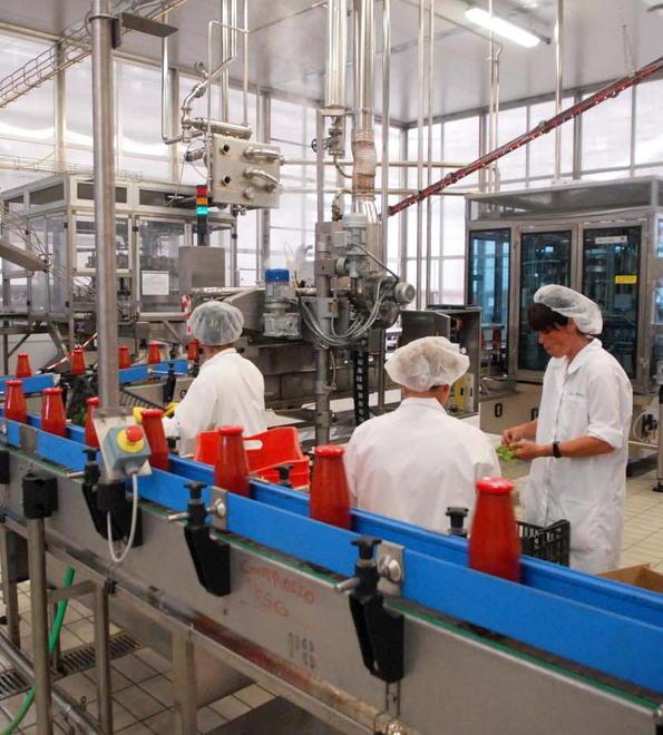 Il Comune di Cittadini critico «Pomodoro da valorizzare» 
