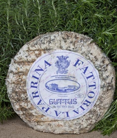 Alla scoperta del cacio nel regno della Parrina 