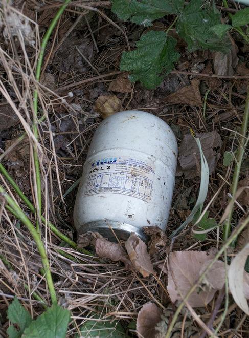 La giovane uccisa è stata bruciata con alcuni copertoni e gettata tra le foglie 