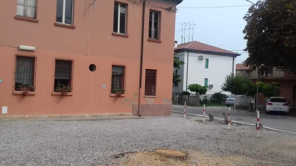 Risolto il problema degli alberi pericolanti Spazio per attività
