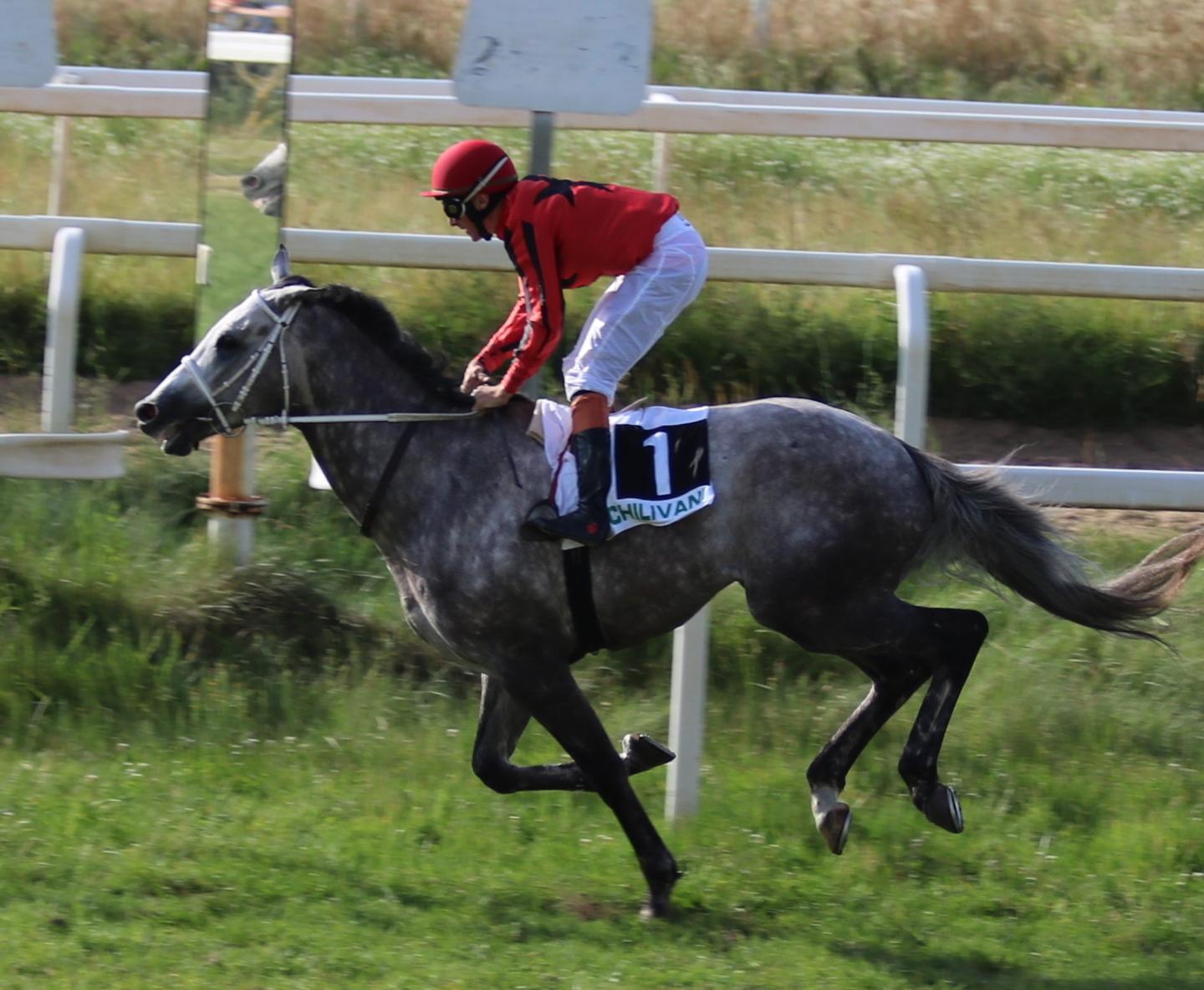 È il giorno dell’ippica sarda si corre il Gran Premio 