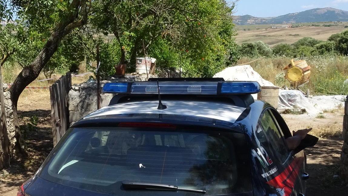 Coltivazione e spaccio due persone arrestate a Muros e Buddusò