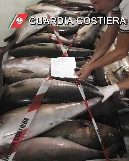 La Caletta, sequestrati più di 800 chili di pesce non registrato