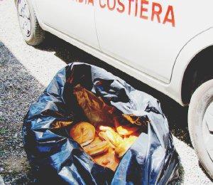 I dolci sequestrati sulla spiaggia dalla Guardia costiera