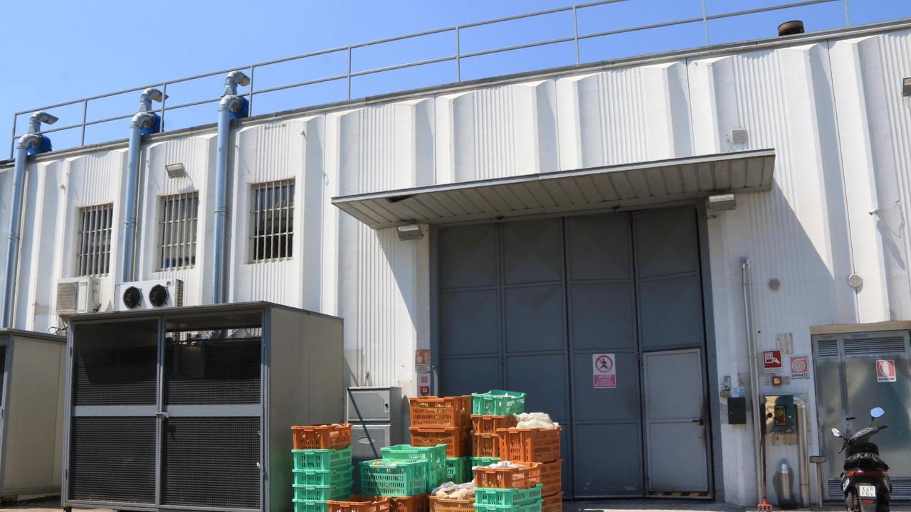 Lo stabilimento pratese del Panificio Toscano
