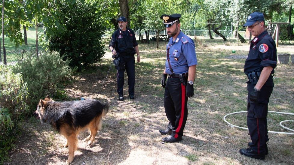 Con la droga nel parco, denunciato