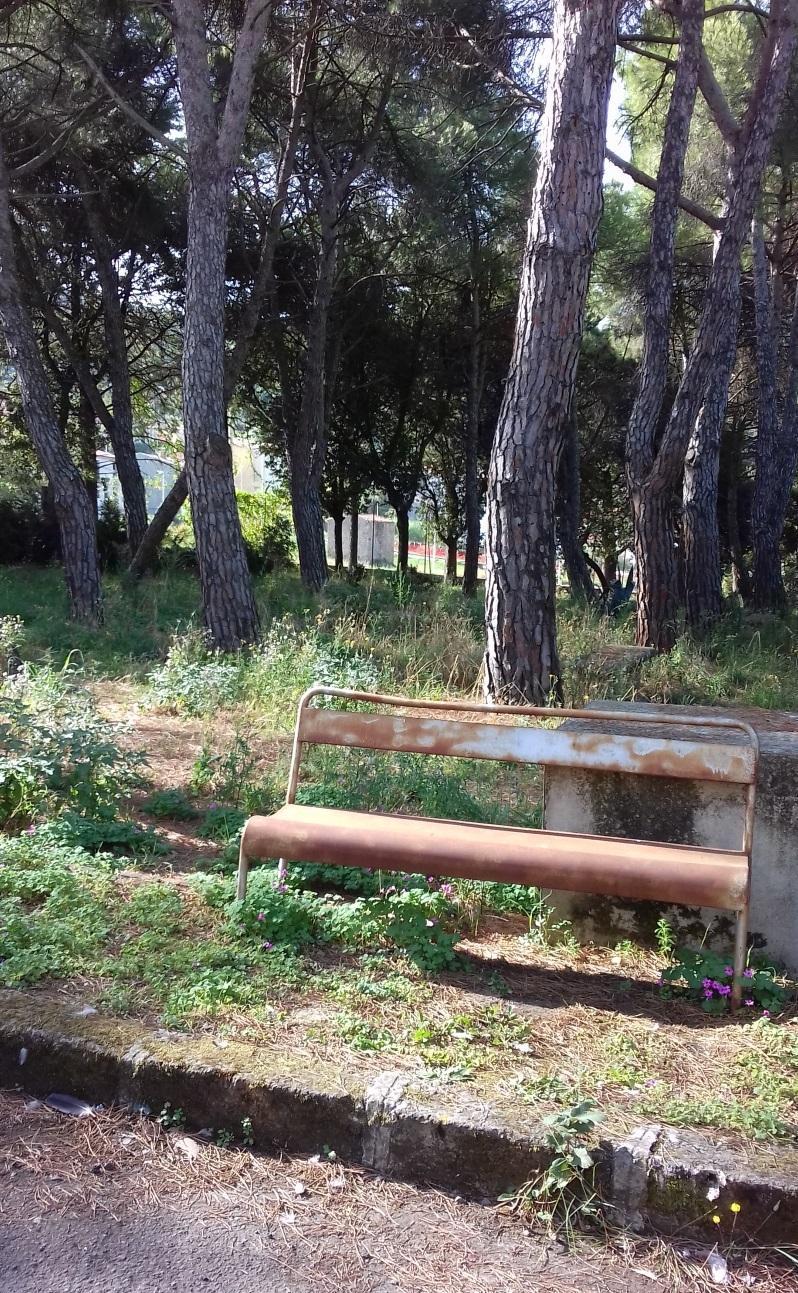 L’ex ospedale Manai nel degrado 
