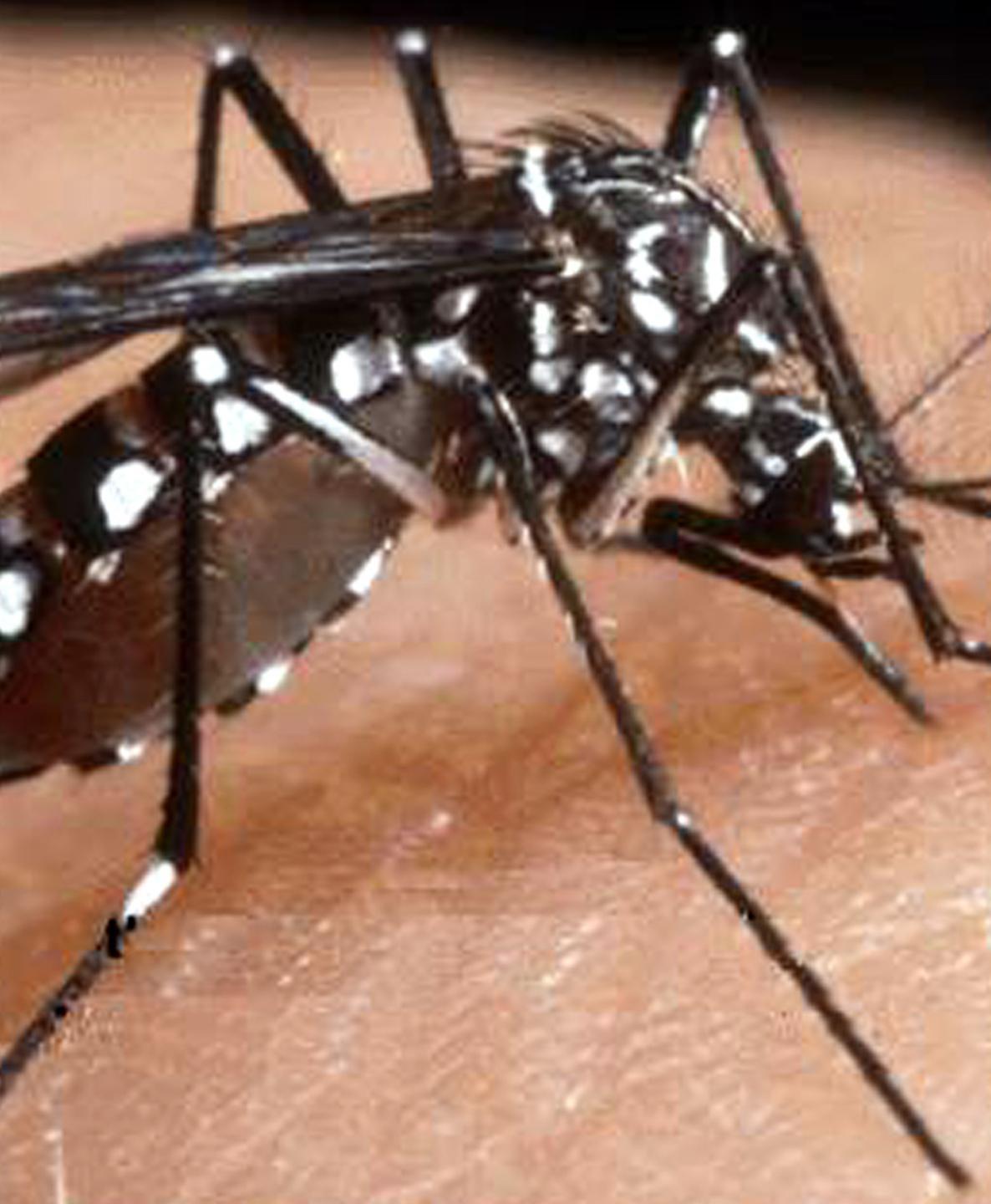 Nell’Oristanese è stato d’allerta 