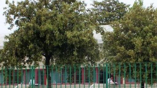 Prima campanella per 95 “remigini” ma c’è già la festa per i nuovi spazi