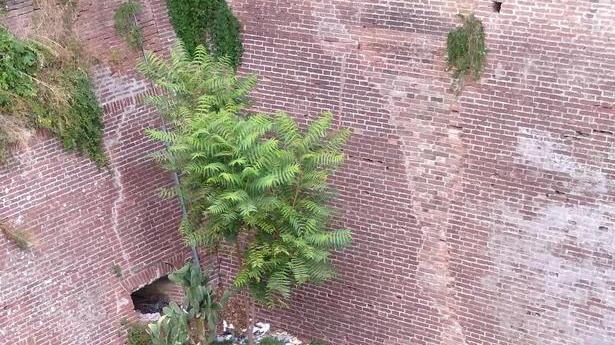 Troniera degli Arcieri tra sporcizia e degrado «Cosa farà il sindaco?»